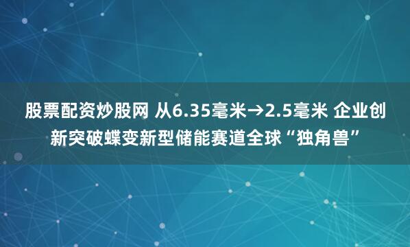 股票配资炒股网 从6.35毫米→2.5毫米 企业创新突破蝶变新型储能赛道全球“独角兽”